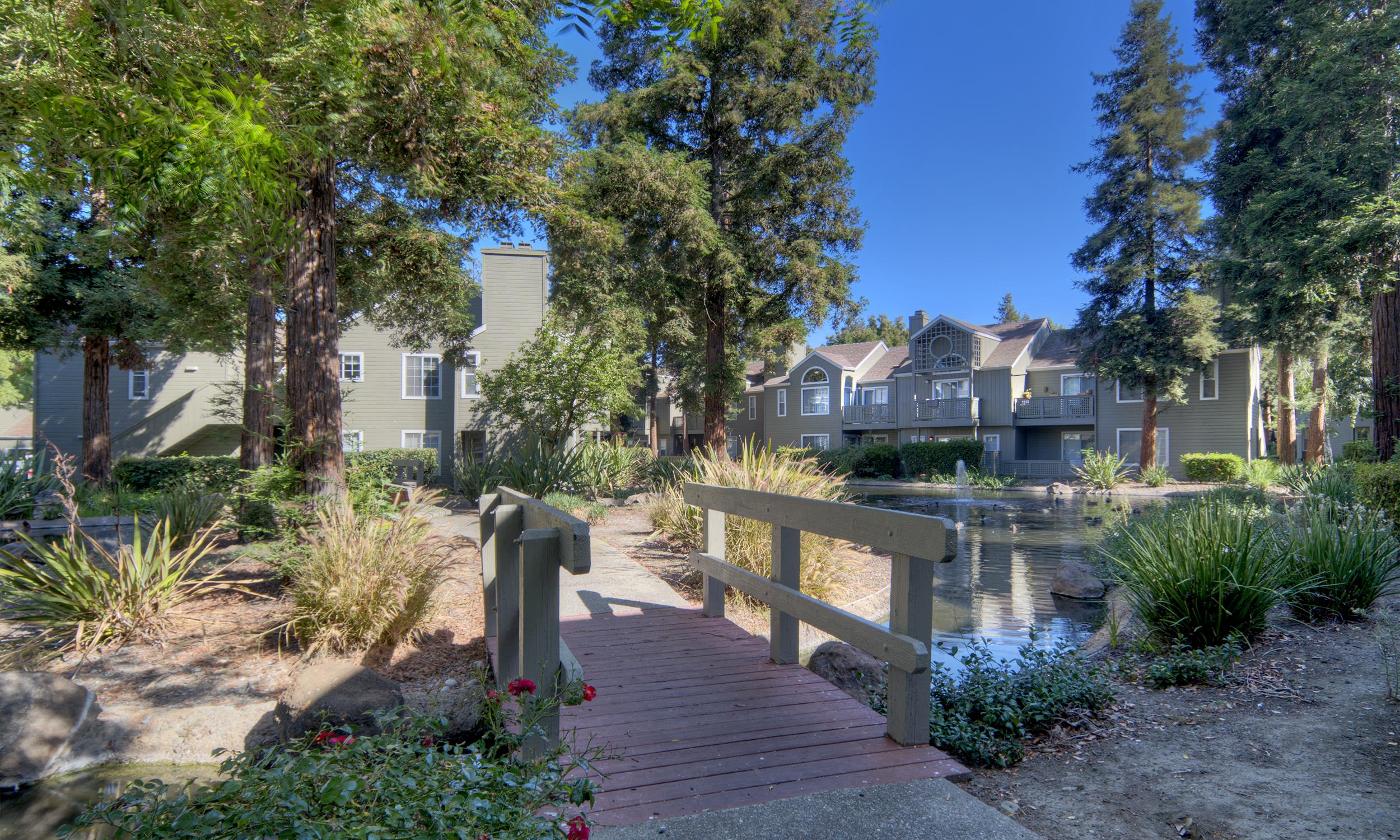 Wood Creek photo 5